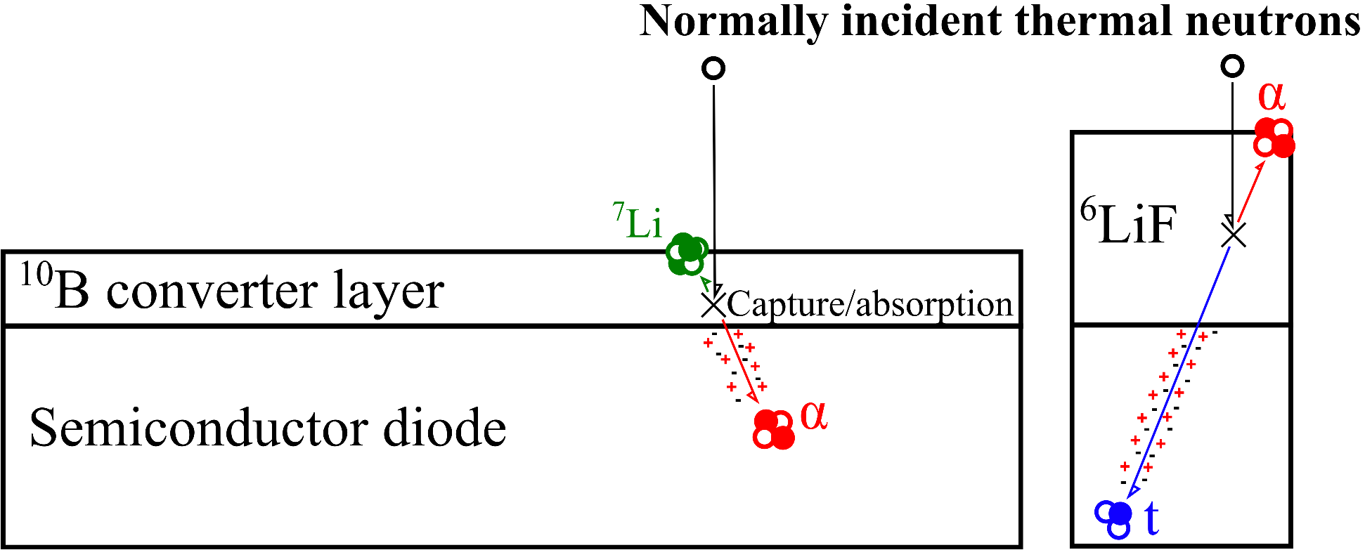 Cross-section schematic of a coated thin-film detector. A normally incident thermal neutron enters a converter layer on top of a semiconductor diode. In a 10B converter the neutron capture emits an alpha particle and a 7Li recoil; in a 6LiF converter it emits an alpha and a triton. The charged product travels into the diode and ionizes, producing the signal.