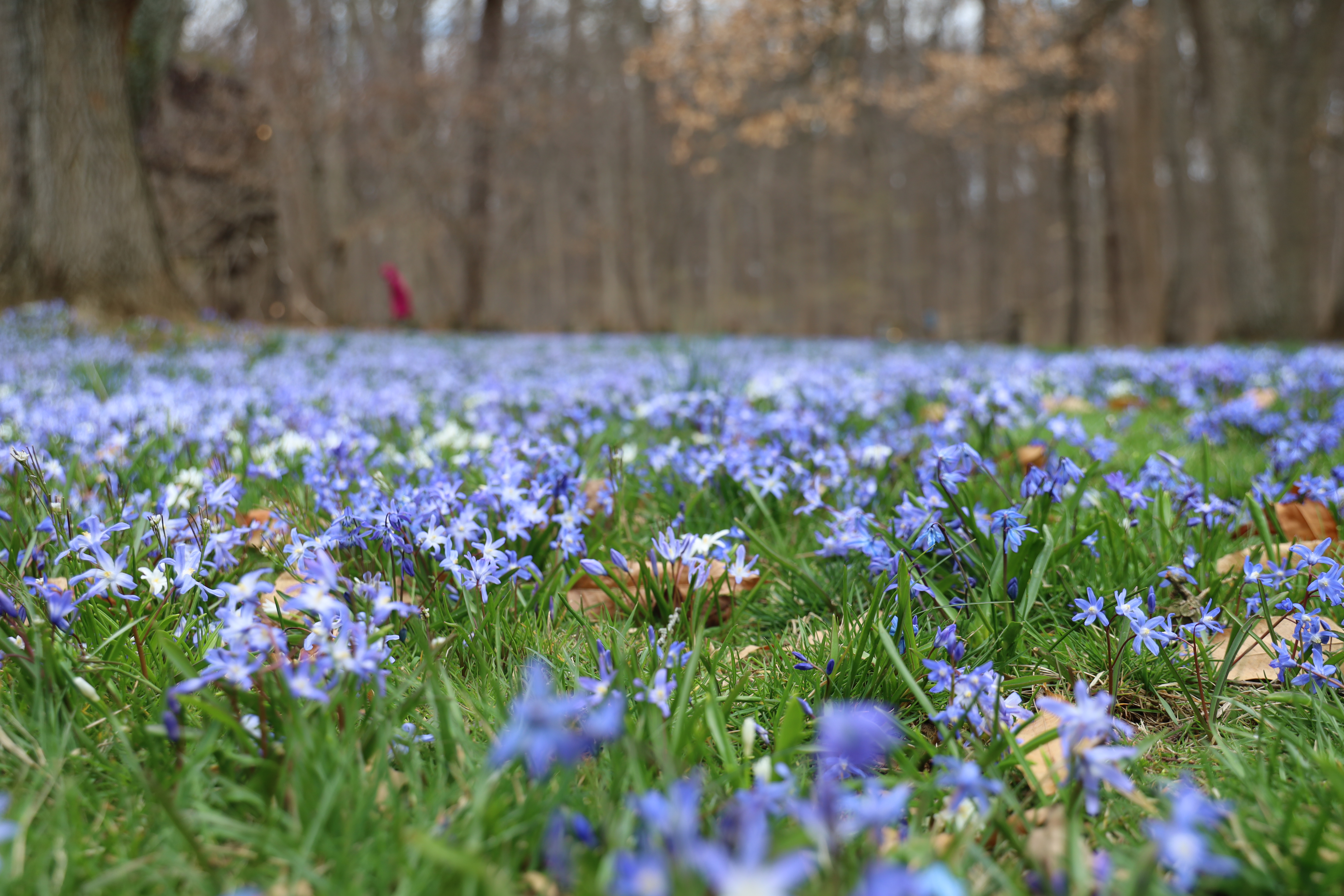 Longwood Gardens